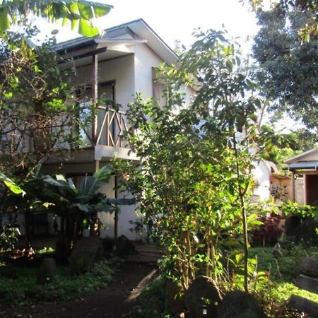 Hostal Marari Hanga Roa Dış mekan fotoğraf